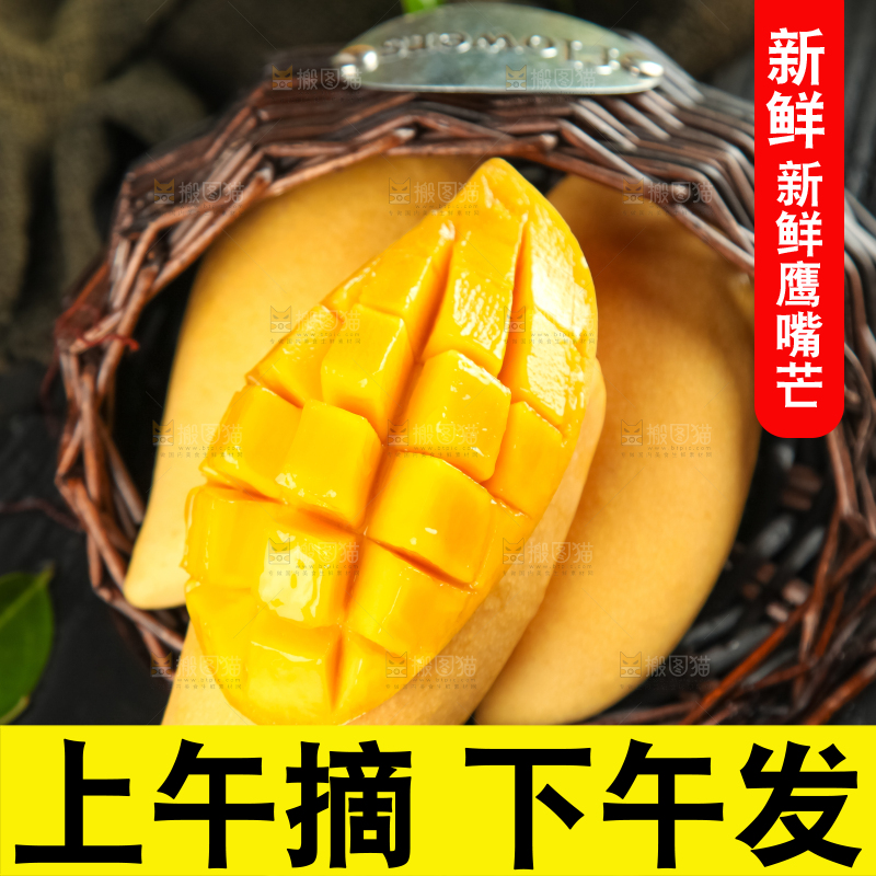鹰嘴芒