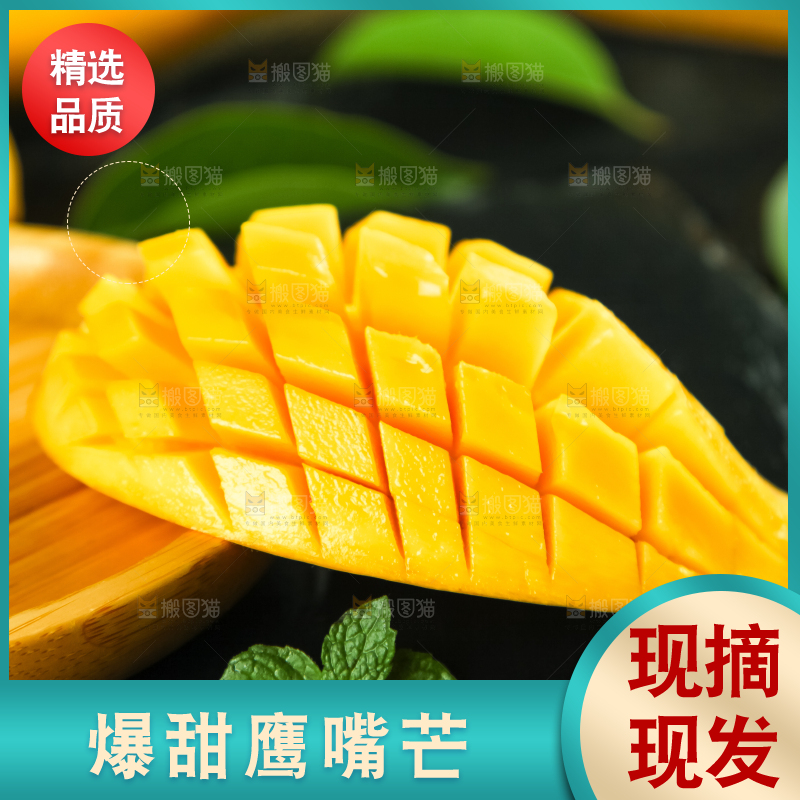 鹰嘴芒