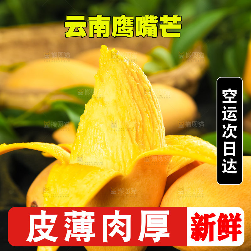 鹰嘴芒