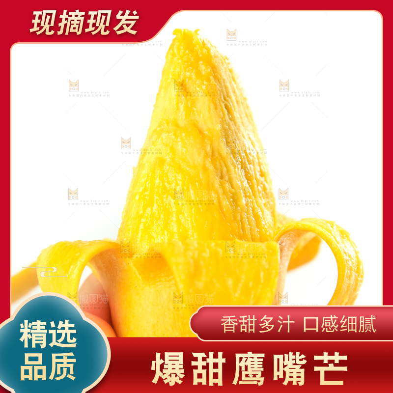 鹰嘴芒