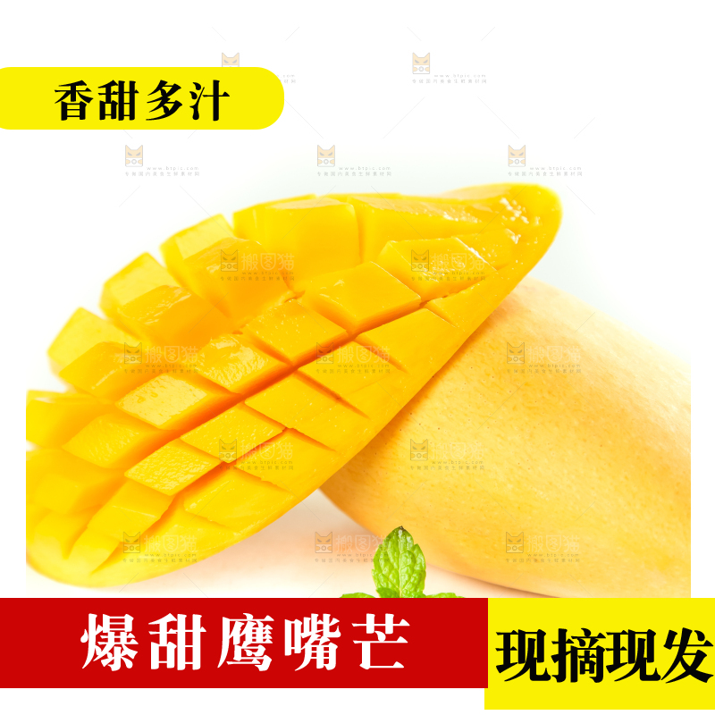 鹰嘴芒