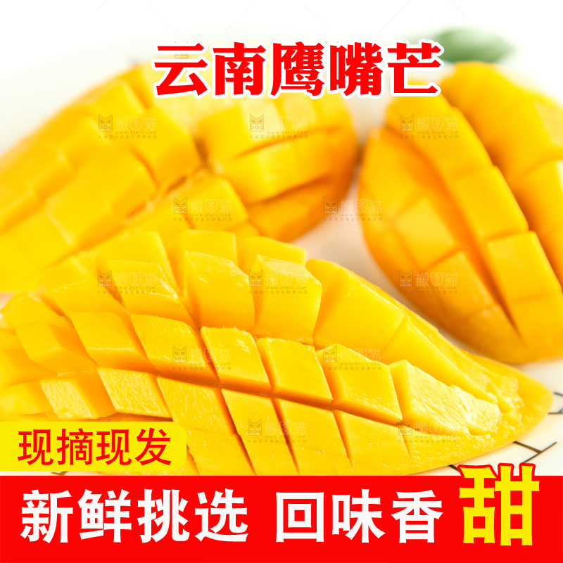 鹰嘴芒