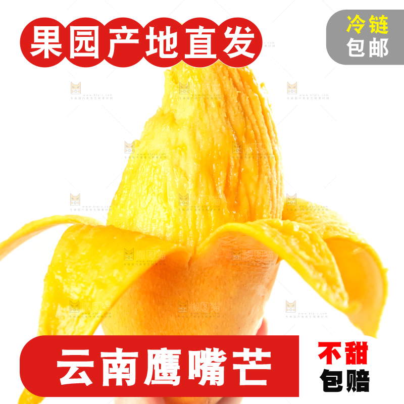 鹰嘴芒
