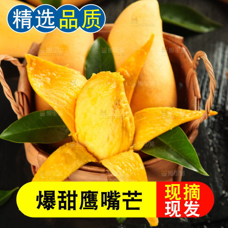 鹰嘴芒