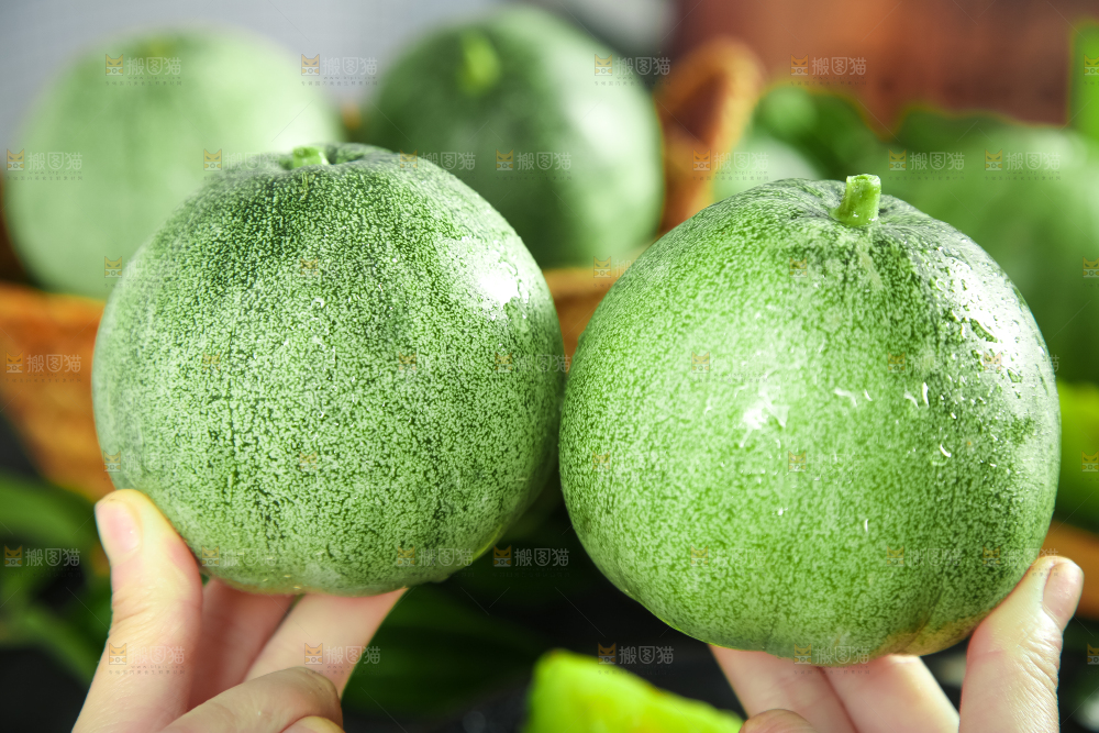 绿宝甜瓜