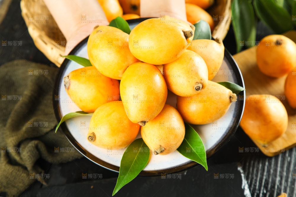 枇杷