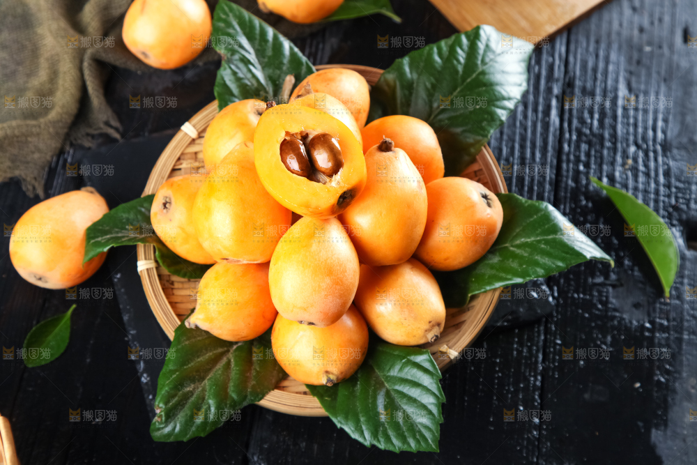 枇杷