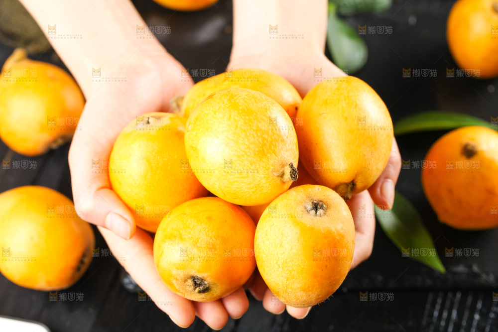枇杷