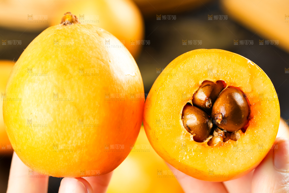枇杷