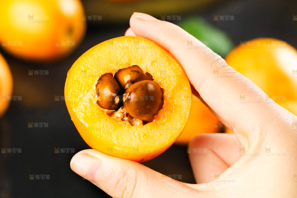 枇杷
