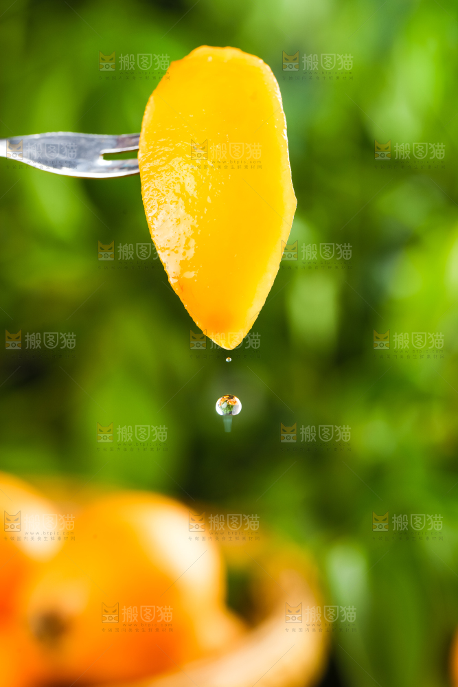 枇杷