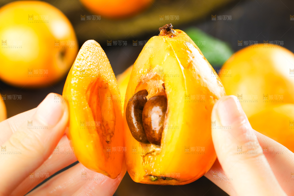 枇杷