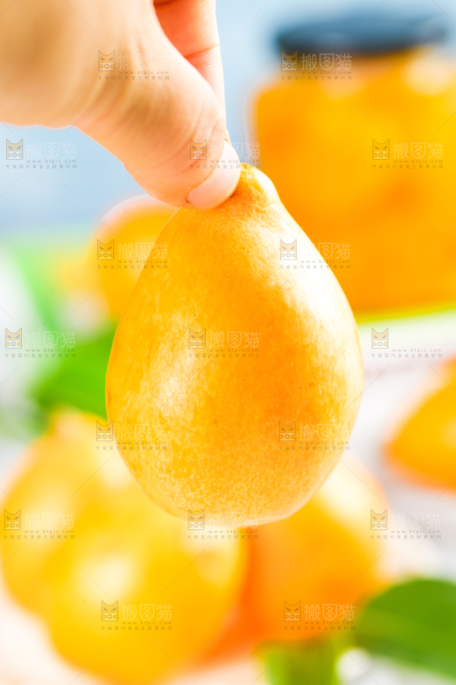 枇杷