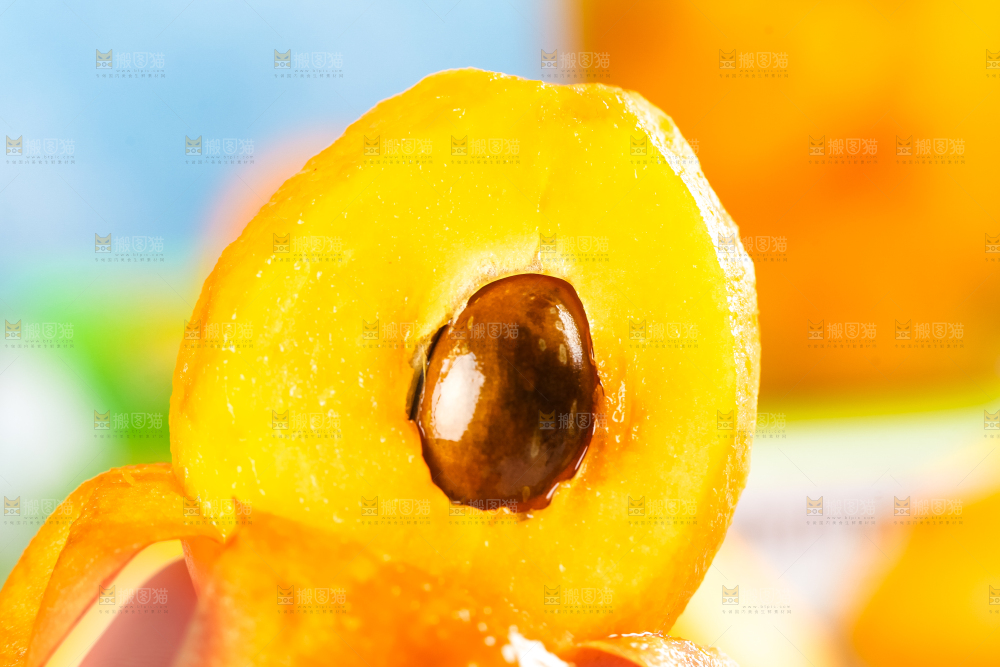 枇杷