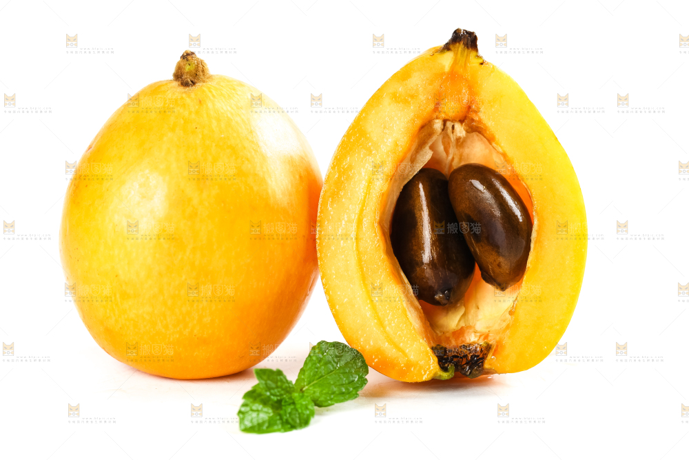 枇杷