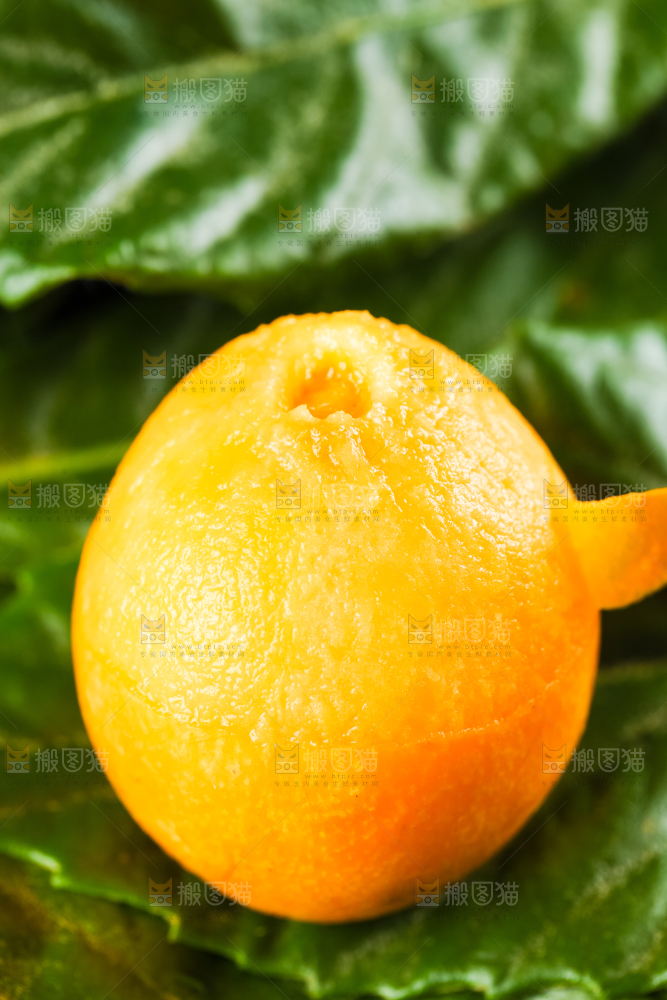 枇杷