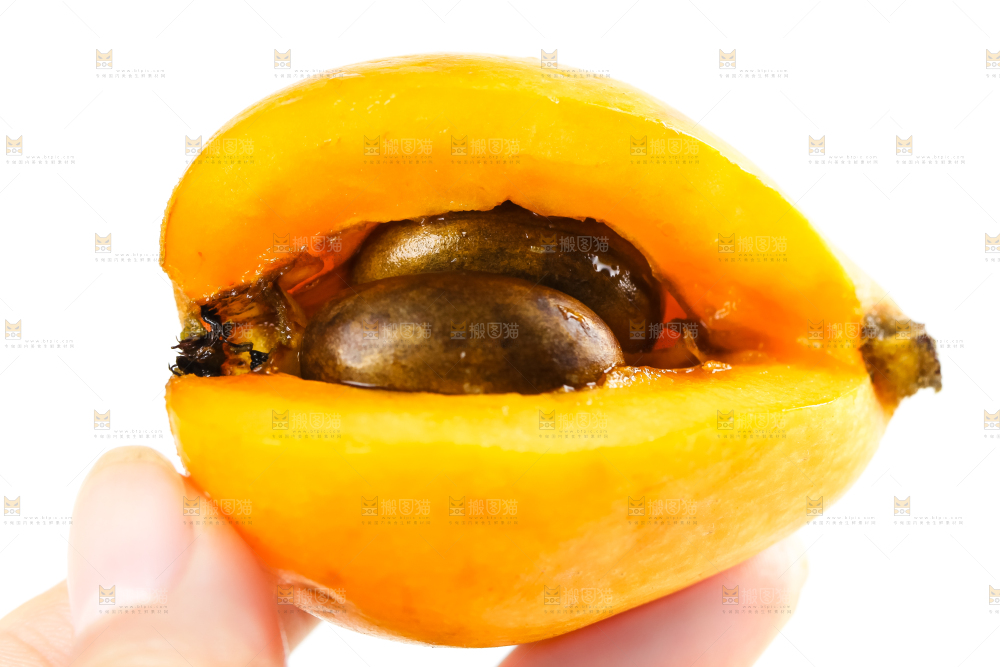 枇杷