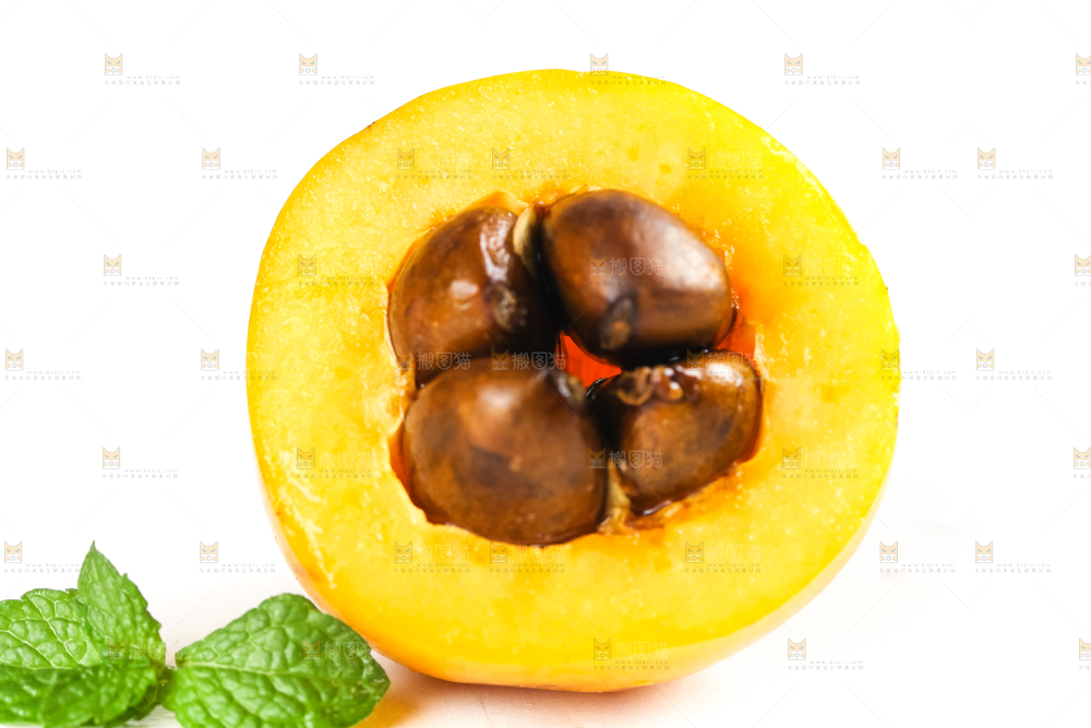 枇杷