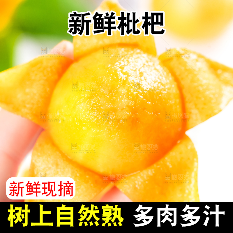 枇杷