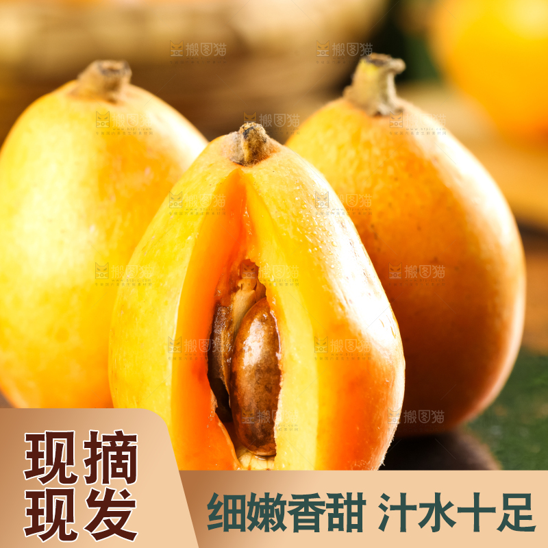 枇杷