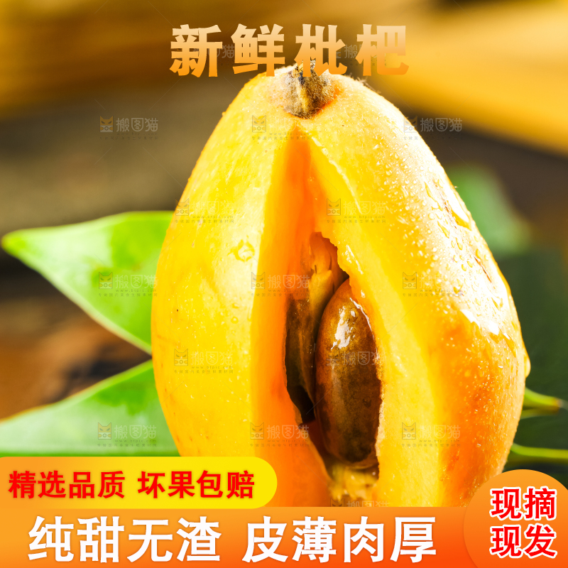 枇杷