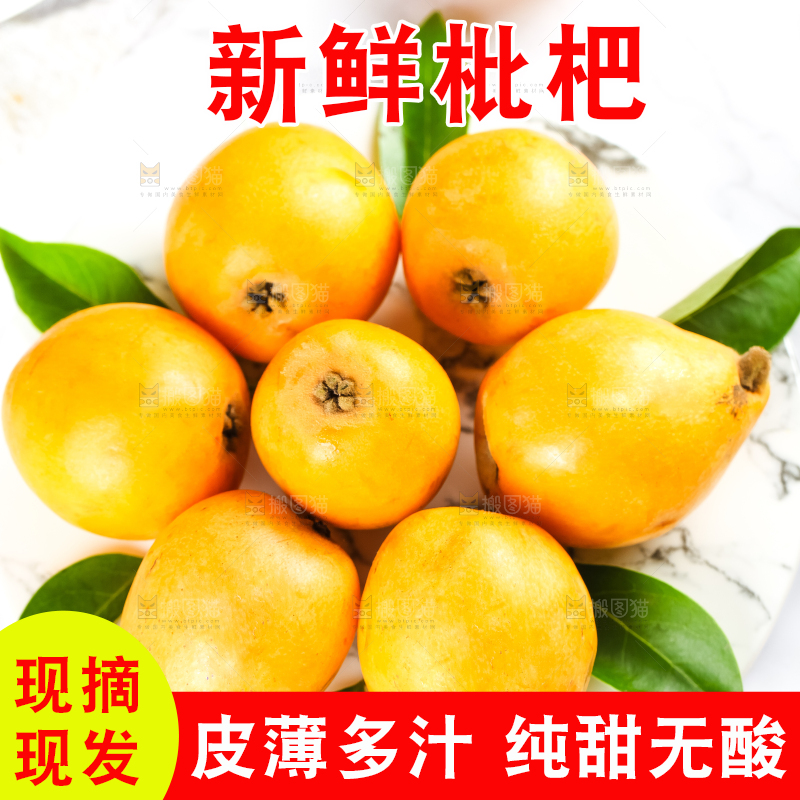 枇杷