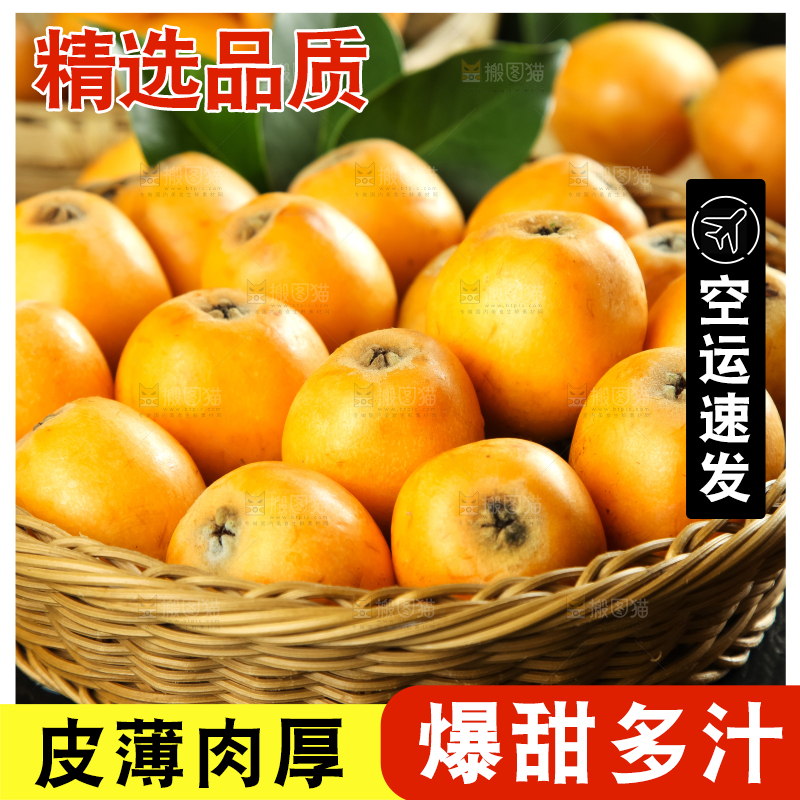枇杷