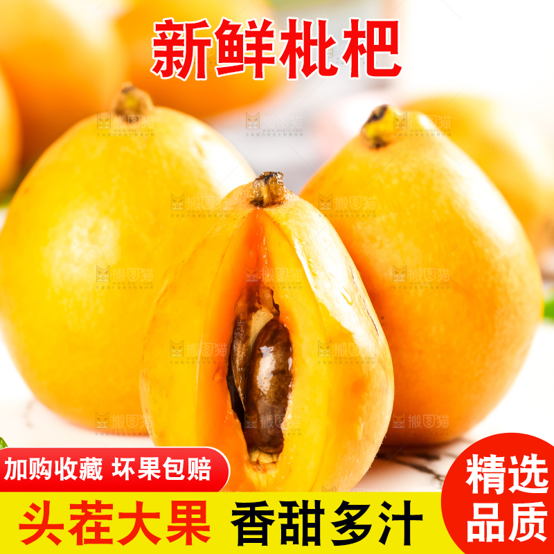 枇杷