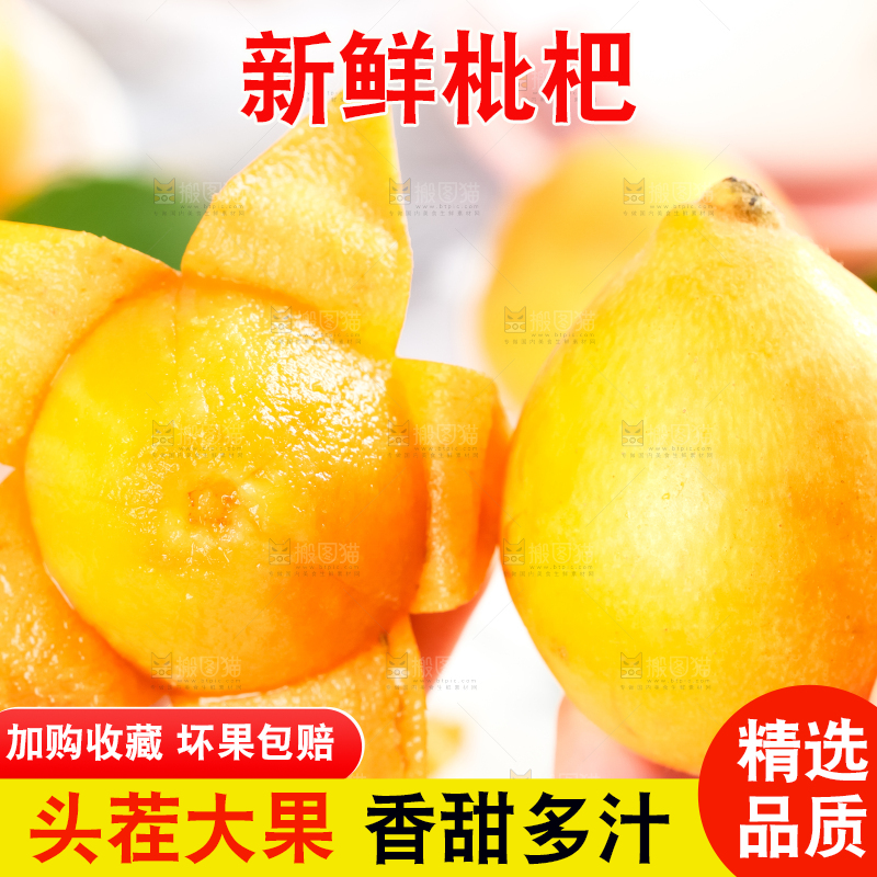 枇杷