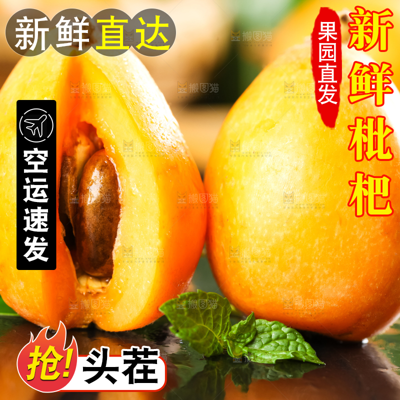 枇杷