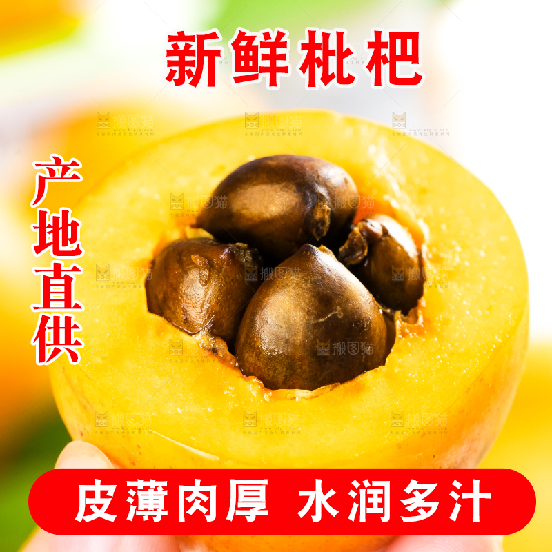 枇杷