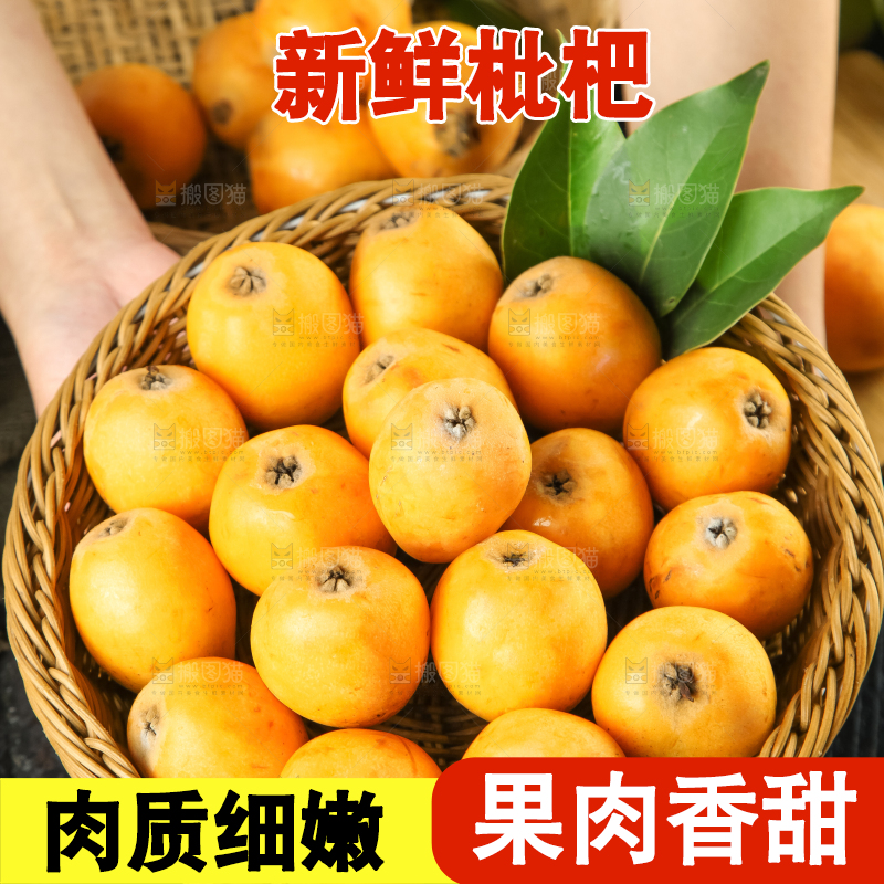 枇杷