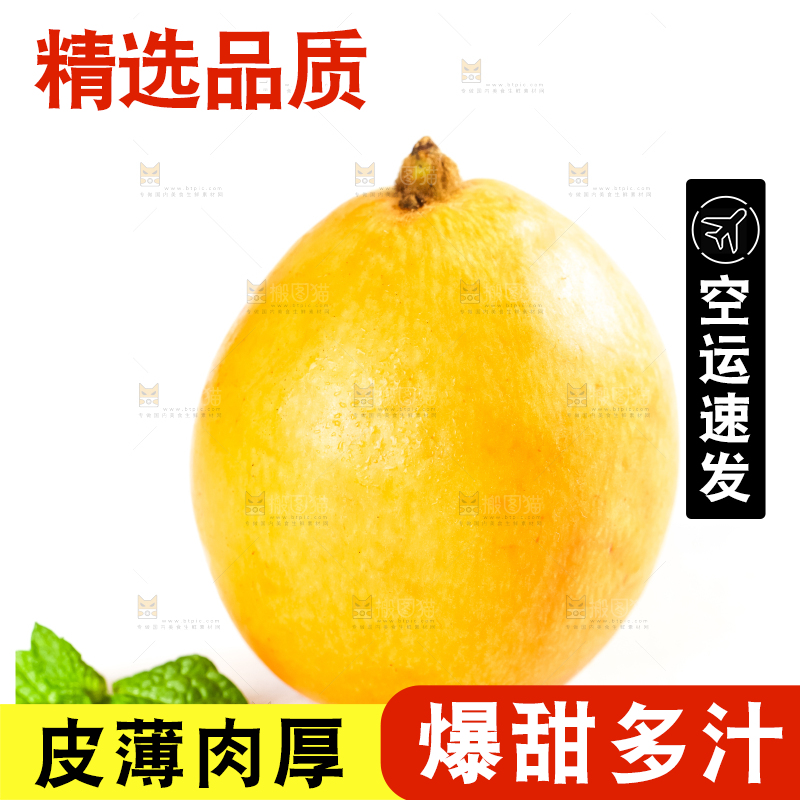 枇杷