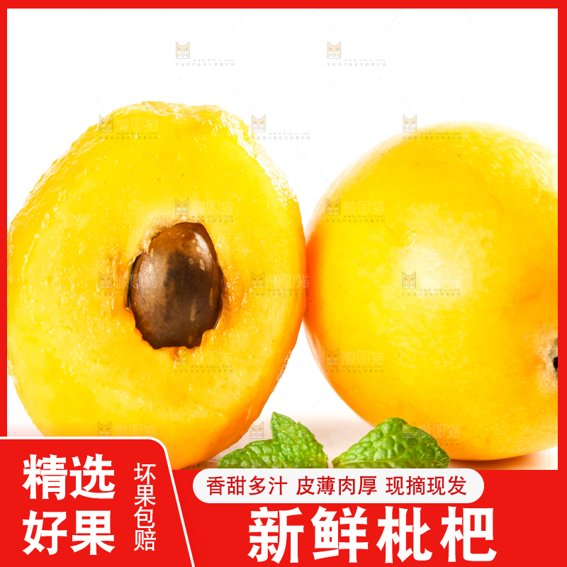 枇杷