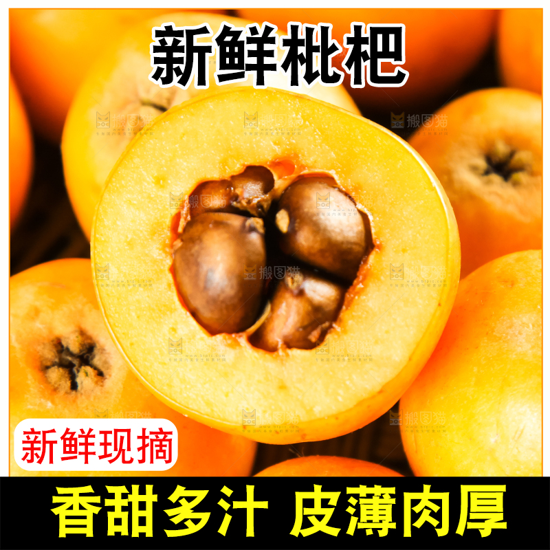 枇杷