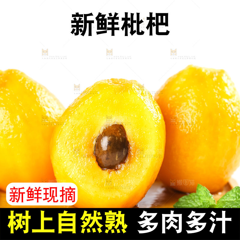 枇杷