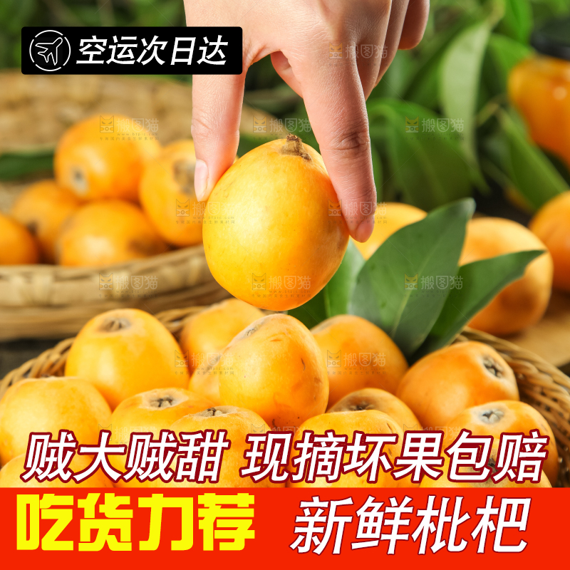枇杷