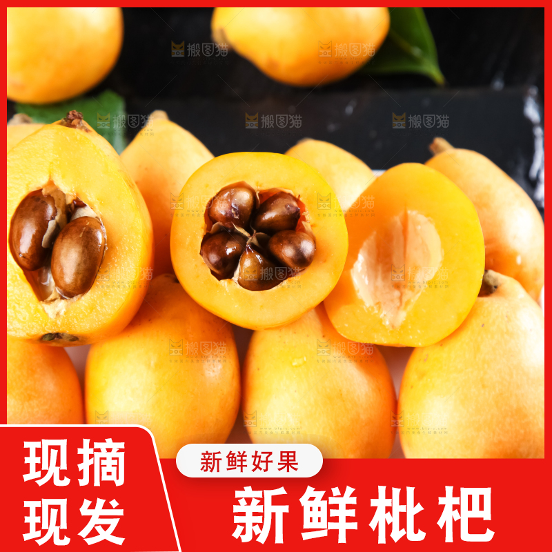 枇杷