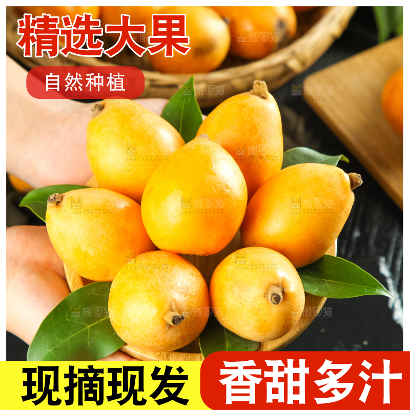 枇杷