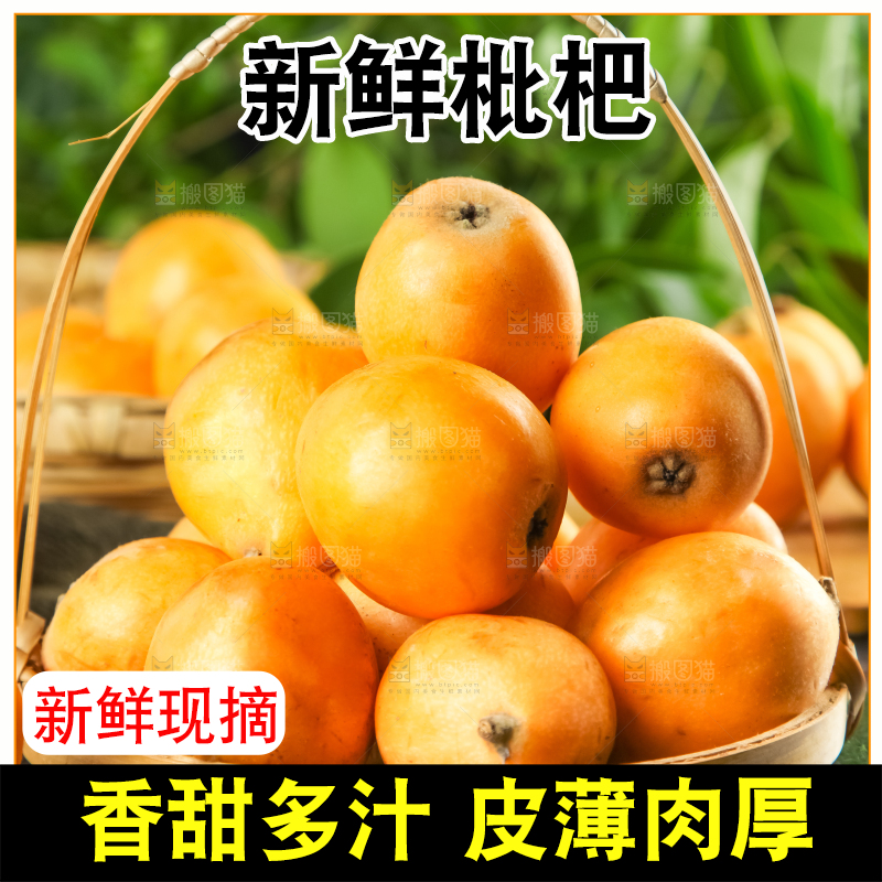 枇杷