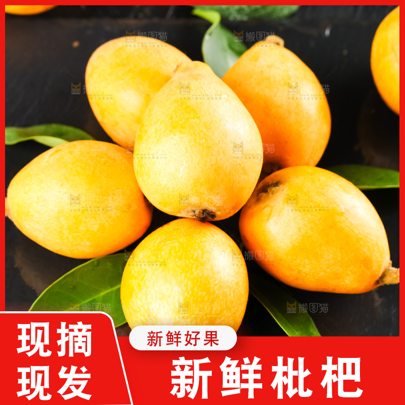 枇杷