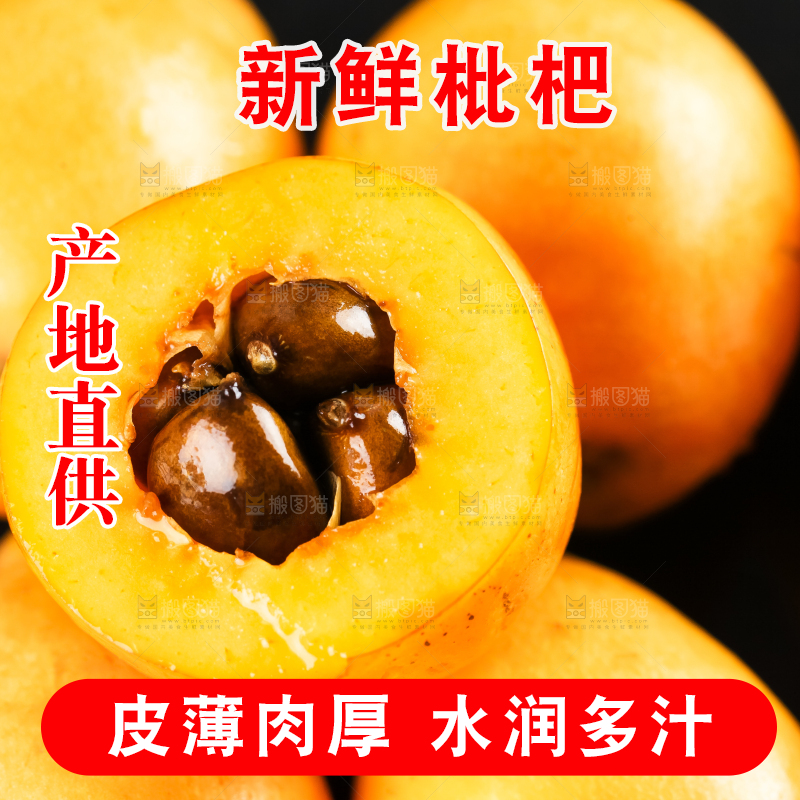 枇杷