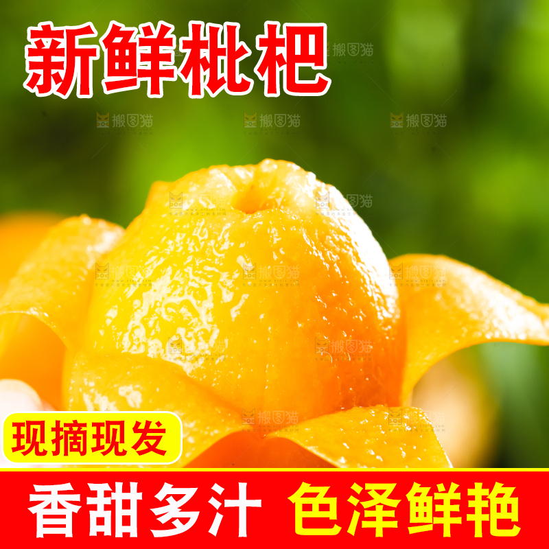 枇杷
