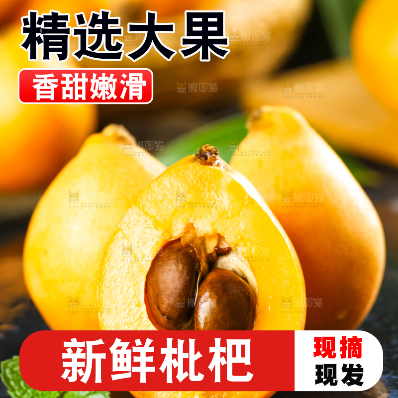 枇杷