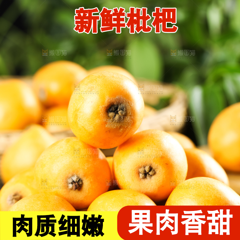 枇杷
