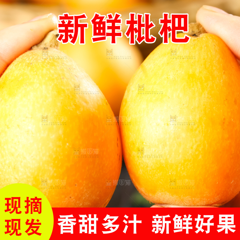 枇杷