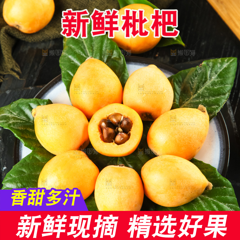 枇杷