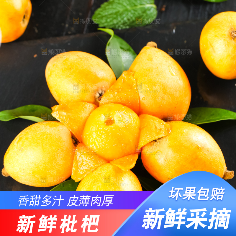 枇杷