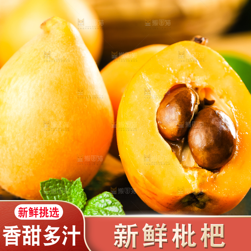 枇杷