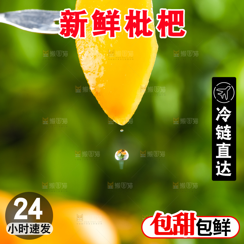 枇杷